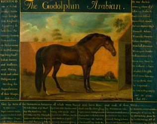 El árabe Godolphin
